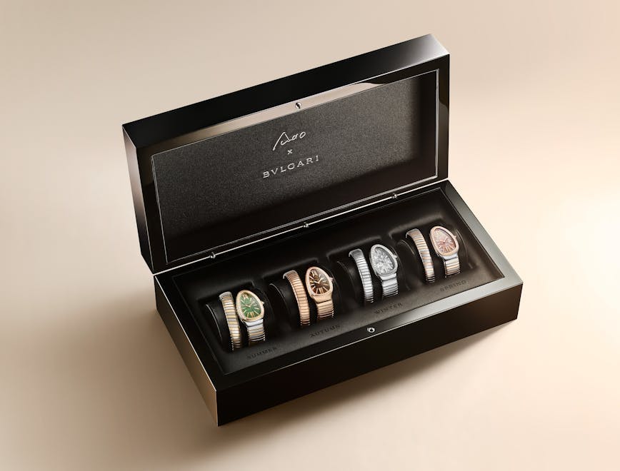 wristwatch arm person accessories jewelry ring formal wear tie mailbox box